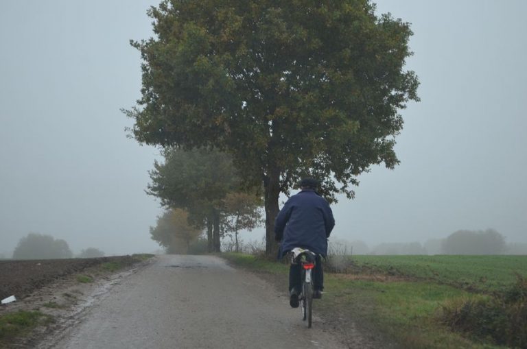 Lire la suite à propos de l’article Les points de location et de réparation de vélos